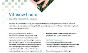 Vitasow Lacto ENG