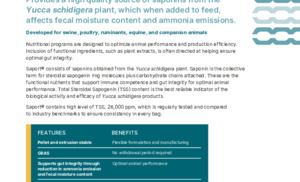 Saport.pdf