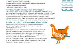 Bastion.pdf