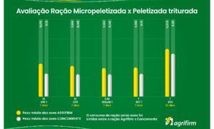 Micro Pelletized x Crushed Pelletized.pdf